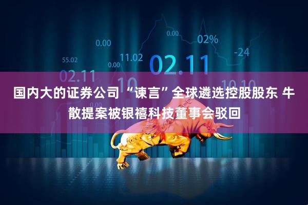 国内大的证券公司 “谏言”全球遴选控股股东 牛散提案被银禧科技董事会驳回