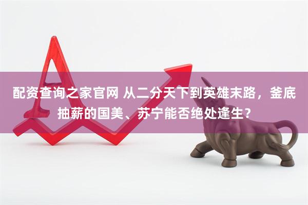 配资查询之家官网 从二分天下到英雄末路，釜底抽薪的国美、苏宁能否绝处逢生？